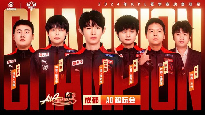 全面的组织
