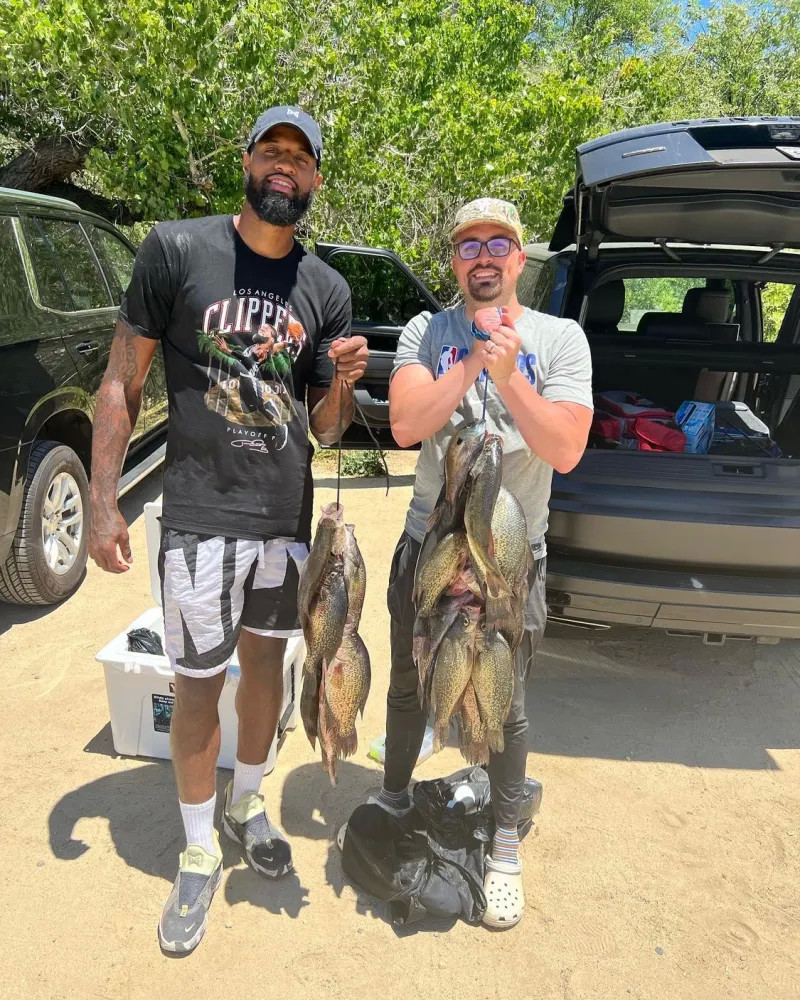 际和平与合 际和平与合